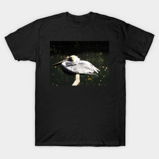 Exotic Bird, Bronx Zoo, Bronx, New York City T-Shirt